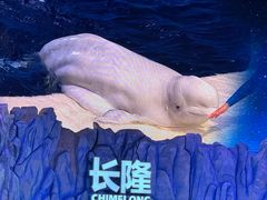 -珠海长隆海洋王国