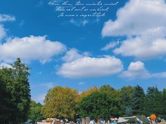 -上海共青森林公园