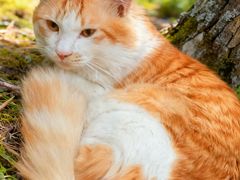 -红茶馆·棋牌·麻将(王庄店)