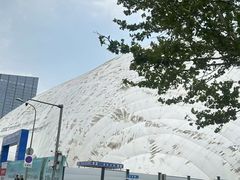 -洪家楼教堂