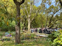 -上海共青森林公园