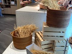 -西贝(金桥店)