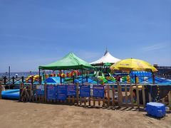 -碧海金沙