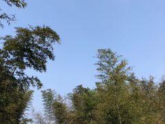 -蜀南竹海景区