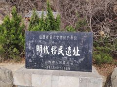 -大槐树寻根祭祖园