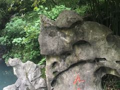 -十八棵（老龙井）御茶园(老龙井店)