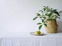 成品-瓷语堂(上海五维空间创意园店)