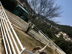 -宁波九龙湖开元度假村