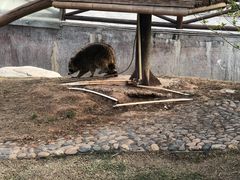 -灵玲国际马戏城