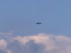 -重庆市江北嘴中央商务区中央公园