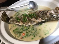 青椒紫苏煮桂鱼-时间仓(月湖公园店)