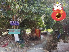 -竹泉农庄·竹筒饭(从化店)