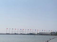 -碧海金沙