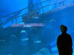 -福州罗源湾海洋世界旅游区