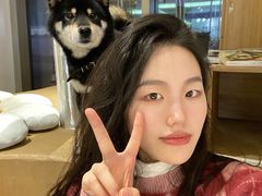 -柴务处·柴犬主题狗咖