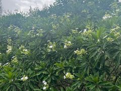 -日月湾海门游览区