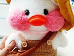 -八喜G’nature冰淇淋旗舰店