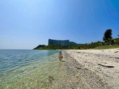 -后海村