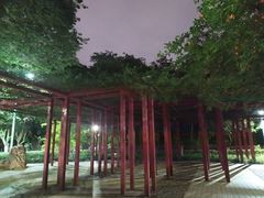 -西安市长乐公园