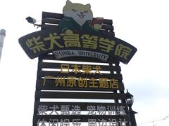 门面-柴犬高等学院·狗咖·柴犬售卖·宠物训练