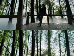 -东湖落雁景区