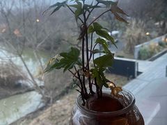 -木守西溪溪隐餐厅