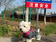 -青龙湖公园