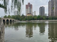 -迎泽公园