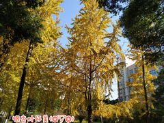 -广西师范大学(育才校区)