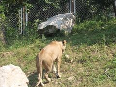 -西安秦岭野生动物园