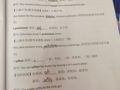 -瑞丁熊原版阅读(大华校区)