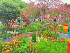 -深圳仙湖植物园