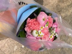 -双季花艺园艺市场(浦东店)