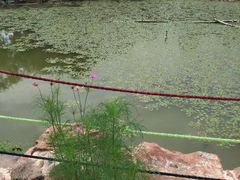 -宝岩生态观光园