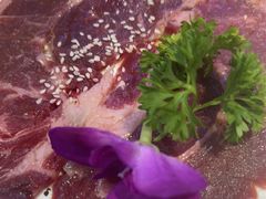 -外婆掌柜·东北家庭烤肉(托乐嘉店)
