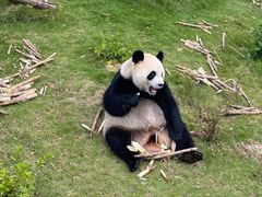 -泉州海丝野生动物世界