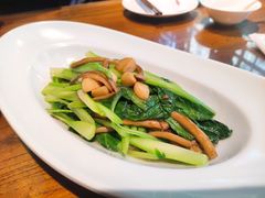 茶树菇炒菜心-北京老铺烤鸭(老城根店)