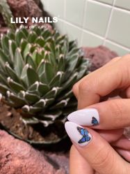 -LILY NAILS美甲美睫