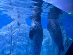 -多彩贵州城极地海洋世界