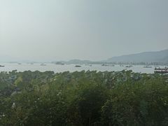 -湖畔居茶楼(湖滨店)