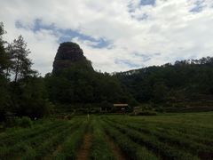 -武夷山风景名胜区-玉女峰