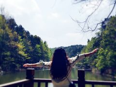 -青龙山国家森林公园