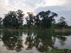 -两河城市森林公园
