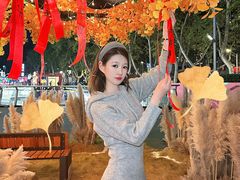 -金茂览秀城