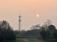 -良渚古城遗址公园