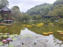 -云溪植物园