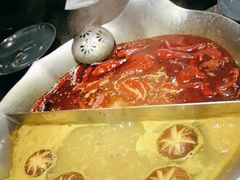 -湊湊火锅·茶憩(打浦桥日月光店)