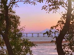 -宝安西湾红树林湿地公园