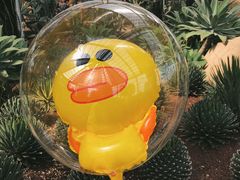 -南通洲际绿博园