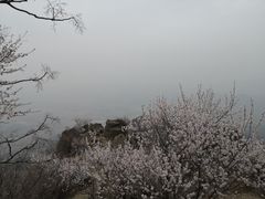 -北京鹫峰国家森林公园